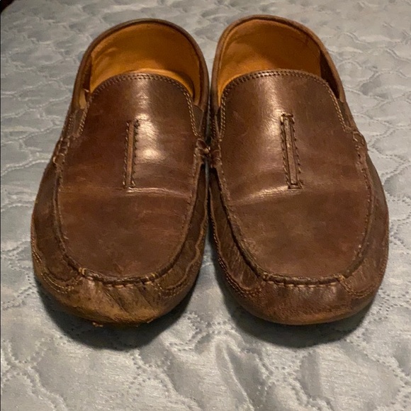 Drivers - Picture 5 of 5